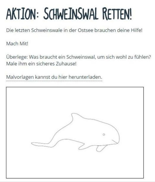 Aktion: Schweinswal retten!
